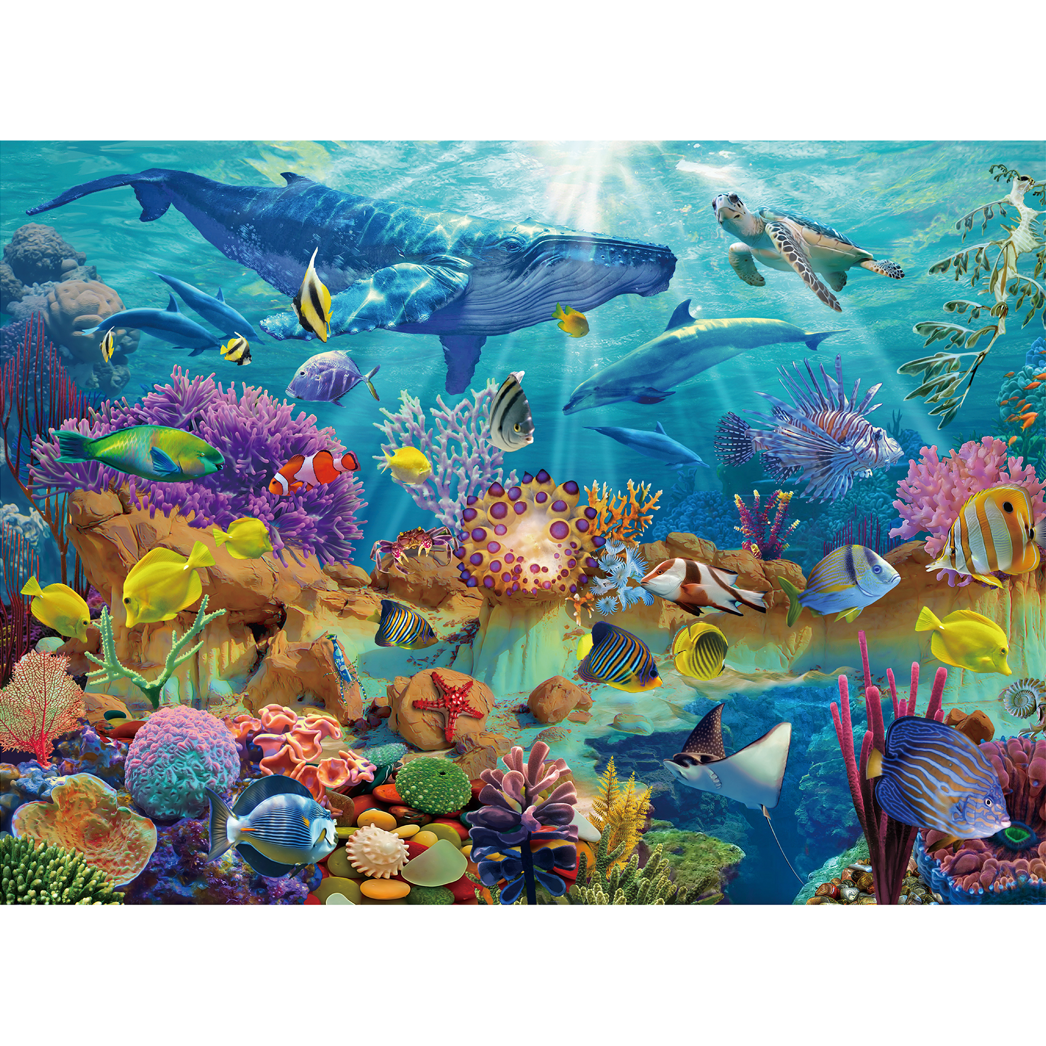 Underwater Paradise Ocean Scene JP065